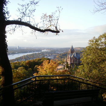 Top 7 Places to See in Bonn